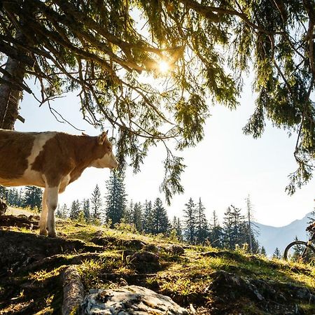 Ferienwohnung Schifterhof Ruhpolding Esterno foto