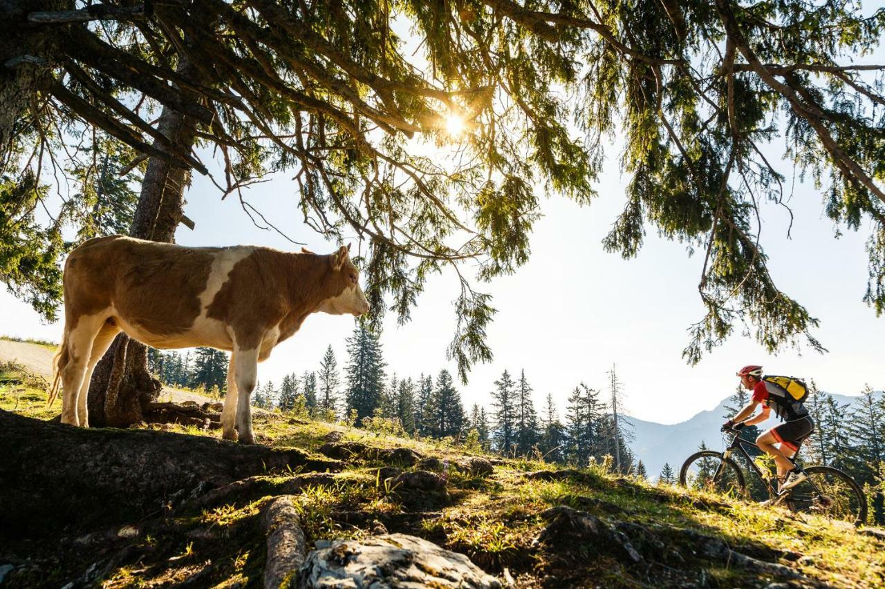 Ferienwohnung Schifterhof Ruhpolding Esterno foto