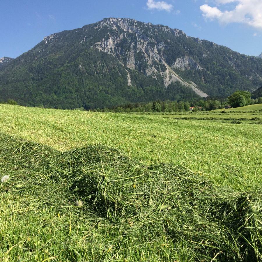 Ferienwohnung Schifterhof Ruhpolding Esterno foto
